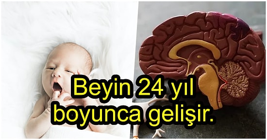 Belirli Bir Yaştan Öncesini Neden Hatırlayamayız?