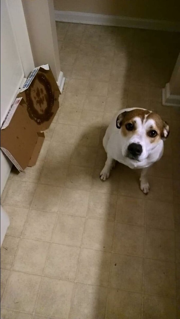 13. Мне достался один кусочек, а ей 7