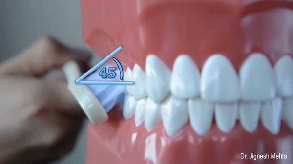 Diş fırçasını 45 derecelik açıyla dişlerinize yerleştirin.