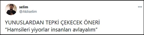 Akademisyenden Tepki Çeken Öneri: 'Yunusları Avlayalım, Ciddi Şekilde Hamsi Tüketiyorlar'