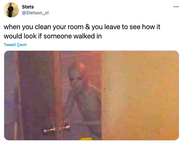 15. "Odanı temizledikten sonra birisi girerken nasıl gözüküyor diye bakmak için çıkmışsındır"