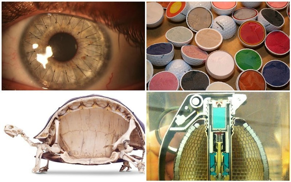 Любопытные снимки, которые покажут скрытую сторону привычных вещей