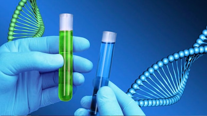 10 случаев, когда люди были шокированы результатами своих ДНК-тестов