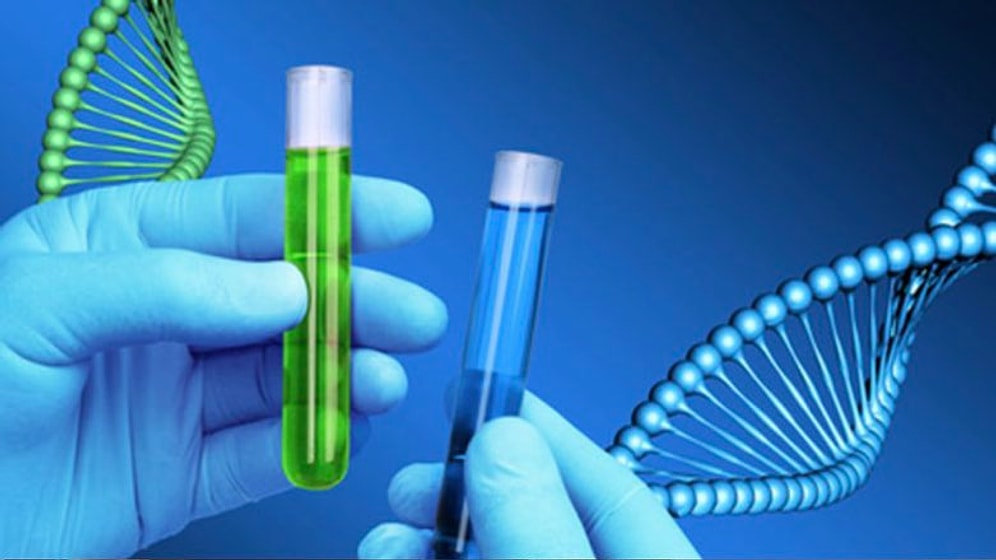 10 случаев, когда люди были шокированы результатами своих ДНК-тестов