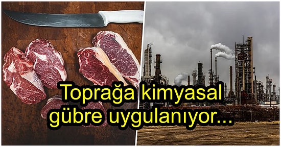 Et Tüketmek Çevremiz İçin Neden Zararlıdır?