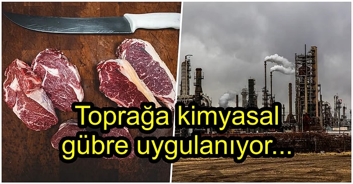 Et Tüketmek Çevremiz İçin Neden Zararlıdır?