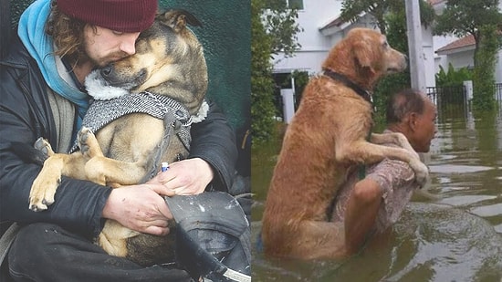 Köpeklerin, İnsanların En Yakın Dostu Olduğunu Kanıtlayan Birbirinden Güzel Görüntüler