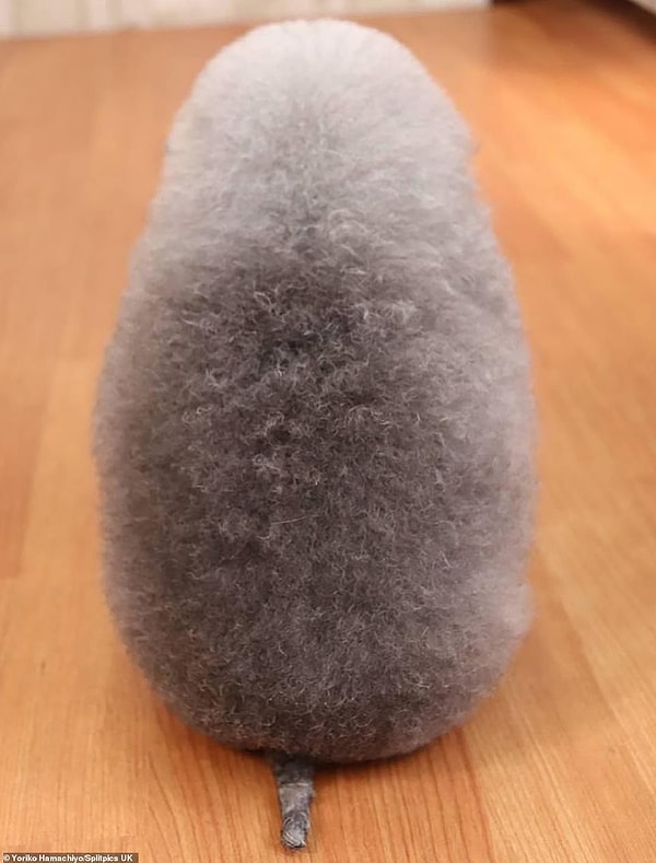 Или на ежика :)