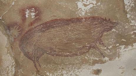 45 Bin Yıllık! Tarihin En Eski Hayvan Resmi Keşfedildi
