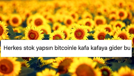 Alarm Takılmasına Alışamamışken, Ayçiçek Yağına Yüzde 20'lik Yeni Zam İddiası Sosyal Medyanın Gündeminde