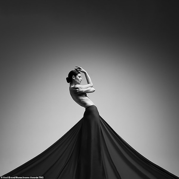 Топлесс танцовщица Лекса-Ли позирует в широкой черной юбке для снимка, победившего в категории Fashion / Beauty, сделанный профессиональным фотографом Акселем Брэндом из Штутгарта, Германия.