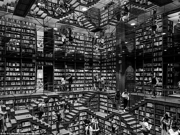 Зеркальный потолок отражает лестницу популярного книжного магазина Zhong Shugs в Чунцине, Тайвань. По-И Ли занял первое место в категории «Архитектура» за эту картину и сказал: «Перекрывающиеся лестницы напоминают холмы и горный город, одно из знаменитых имен Чунцина».