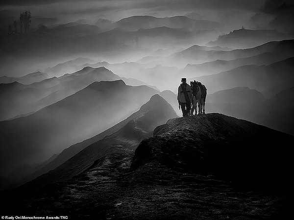 Мужчина тащит свою лошадь по туманным пикам горы Бромо на востоке Явы, Индонезия. Фотограф Руди Оэй занял первое место в категории профессиональных пейзажей.