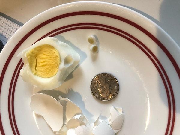 15. "Yumurtamın içinden minicik bir yumurta daha çıktı. Hayatımda ilk kez böyle bir şey görüyorum."😱