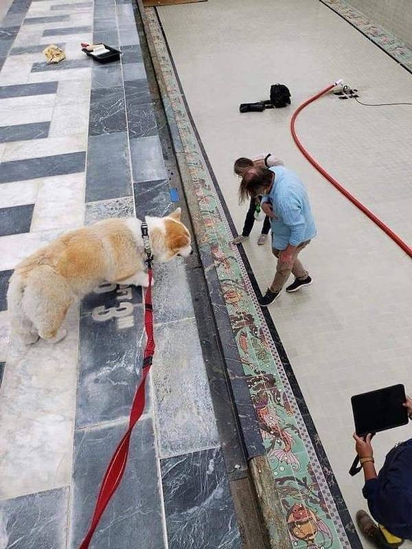 15. Ракурс - все!