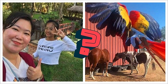 16 странных фото, на которых черт знает что творится