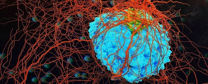 Kanser Hücrelerinin 'Kış Uykusuna' Yatarak Kemoterapiden Korunduğu Keşfedildi