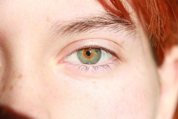 1. "Gözlerim kış mevsiminde mavi ve kahverengi, yazın ise yeşil ve turuncu tonlarında."