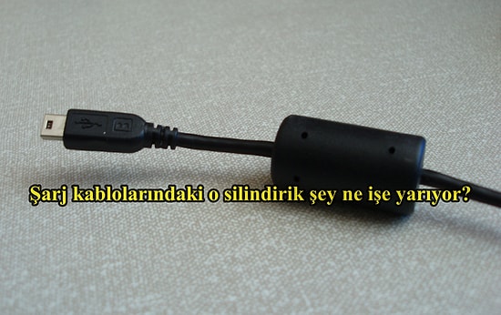 Hep Aklımızın Bir Köşesinde Olan Ama Cevabını Asla Aramadığımız Gerçekler