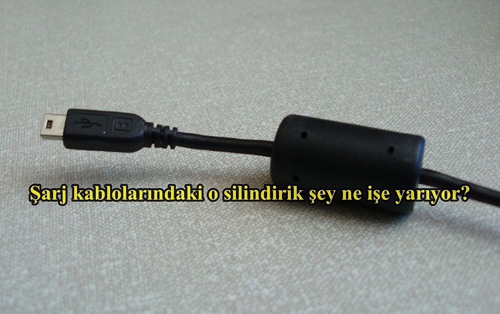 Hep Aklımızın Bir Köşesinde Olan Ama Cevabını Asla Aramadığımız Gerçekler