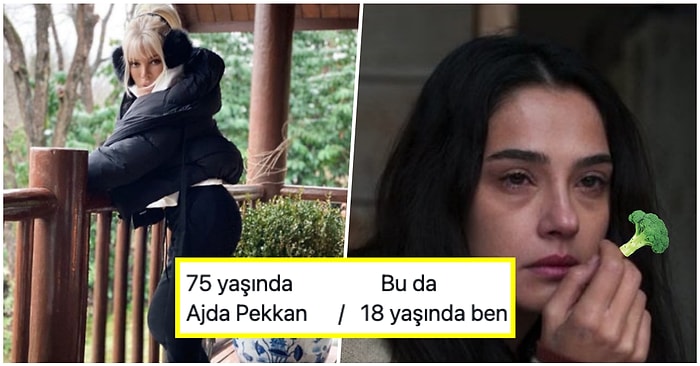 Ajda Pekkan Beklediği Kışın Geldiğini Instagram'da Paylaştığı Fotoğraf ile Duyurdu, Espriler Havalarda Uçuştu