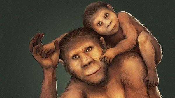 Evrim teorilerine göre insanlar ilk olarak 2,5 milyon yıl önce Doğu Afrika'daki Güney Maymunu adı verilen bir maymun cinsinden evrimleşti.