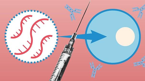mRNA aşısı nedir?
