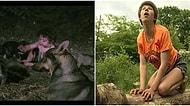 Hayvanlar Tarafından Yetiştirilen Çocuk Sendromu Olarak da Bilinen Mowgli Sendromu Nedir?