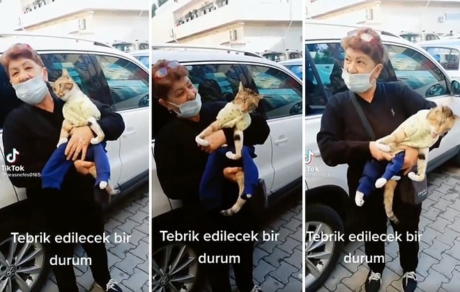 Felçli Kediye Bakan Kadının Gözlerinizden Kalpler Fışkırtacak Anları