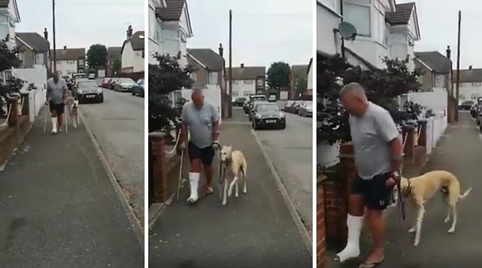 Topallayan Köpeği İçin 300 Pound Veteriner Parası Harcayan Adam, Köpeğin Kendisini Taklit Ettiğini Öğrendi