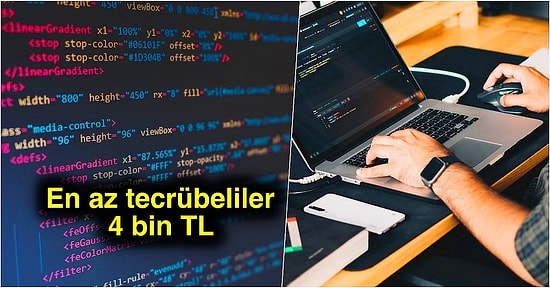 Dillerden Düşmeyen Yazılım Sektörü Çalışanları Ortalama Ne Kadar Maaş Alıyor, Hangi Şartlarda Çalışıyor?