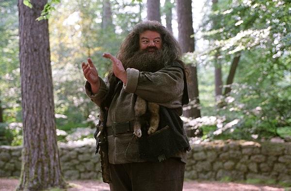 8. Hagrid?