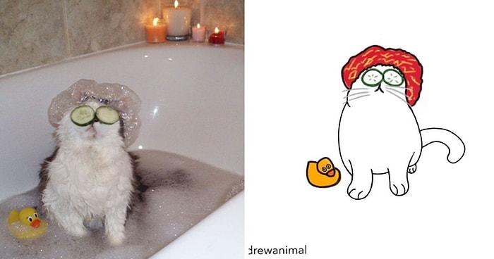 Художник превратил смешные фото с кошками в картинки, и вот 15 самых лучших из них