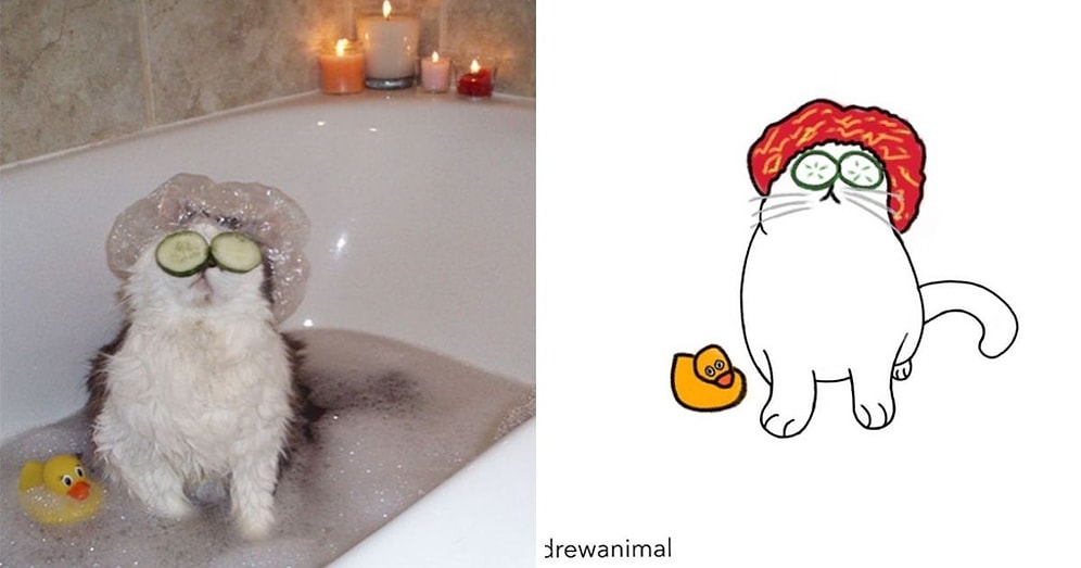 Художник превратил смешные фото с кошками в картинки, и вот 15 самых лучших из них