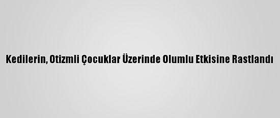 Kedilerin, Otizmli Çocuklar Üzerinde Olumlu Etkisine Rastlandı