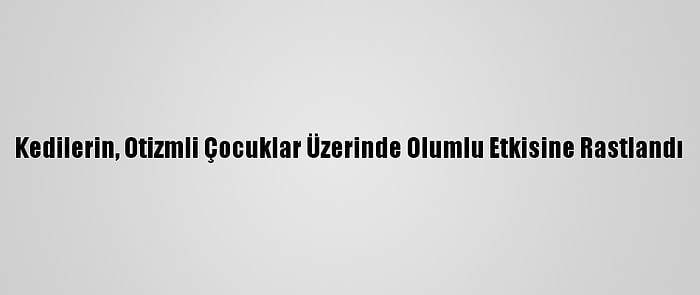 Kedilerin, Otizmli Çocuklar Üzerinde Olumlu Etkisine Rastlandı
