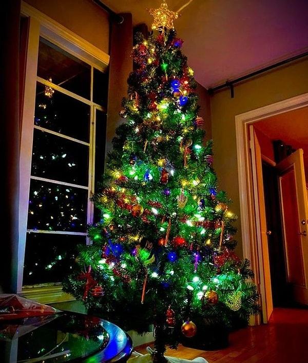 13. "2 yıl süren depresyonun ardından, yalnız biri olarak ilk Noel ağacımı aldım."