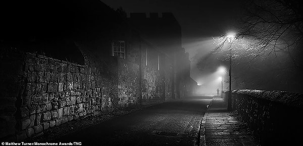 Туманная улица в Карлайле ночью освещена фонарными столбами. Фотограф Мэтью Тернер, занявший первое место в категории профессиональных улиц, сказал: «Гуляя по улицам моего родного города этим туманным ноябрьским утром, я заметил эту сцену, которая привлекла мое внимание поразительными контрастами и деталями каменной кладки. Проезжающий мимо пассажирский поезд добавил еще больше интереса и драматизма своим призрачным силуэтом вдалеке »