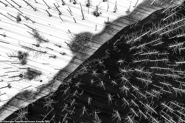 Вид с воздуха на озеро Куэйдель в Румынии перед самым морозом. Куэйдель - самая большая естественная плотина Румынии. Георгий Попа занял первое место в категории профессиональных абстрактных снимков.