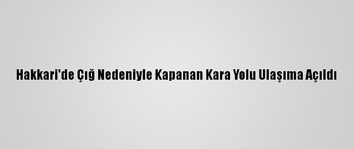 Hakkari'de Çığ Nedeniyle Kapanan Kara Yolu Ulaşıma Açıldı