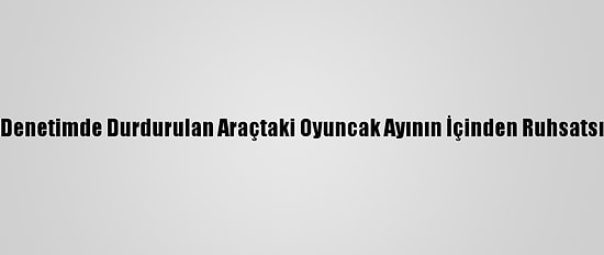 İstanbul'da Denetimde Durdurulan Araçtaki Oyuncak Ayının İçinden Ruhsatsız Silah Çıktı
