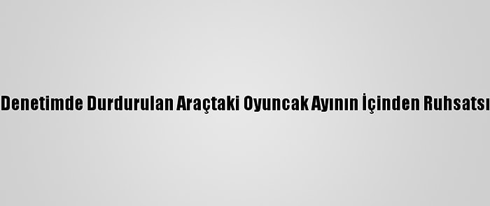 İstanbul'da Denetimde Durdurulan Araçtaki Oyuncak Ayının İçinden Ruhsatsız Silah Çıktı