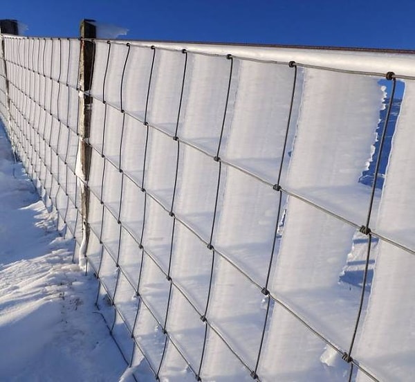 10. "Что получается, когда сильный ветер и снег встречают на своем пути забор".