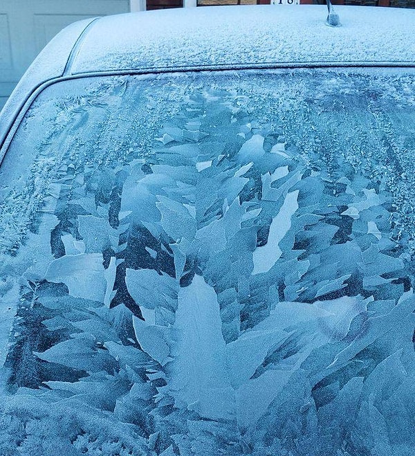 16. "Настоящее произведение искусства на ветровом стекле в исполнении матушки-природы".