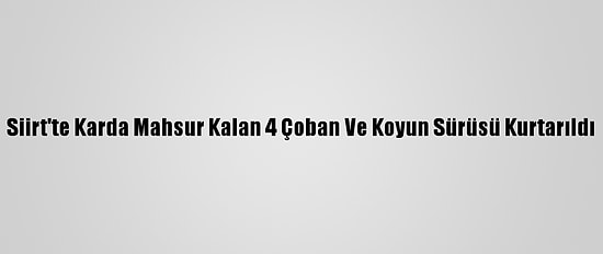 Siirt'te Karda Mahsur Kalan 4 Çoban Ve Koyun Sürüsü Kurtarıldı