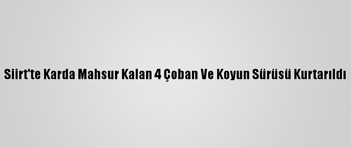 Siirt'te Karda Mahsur Kalan 4 Çoban Ve Koyun Sürüsü Kurtarıldı