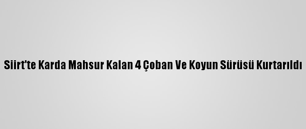 Siirt'te Karda Mahsur Kalan 4 Çoban Ve Koyun Sürüsü Kurtarıldı