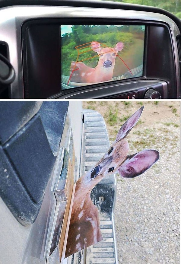 3. "Мой жена подумала, что это будет забавно. Действительно, обхохочешься!"