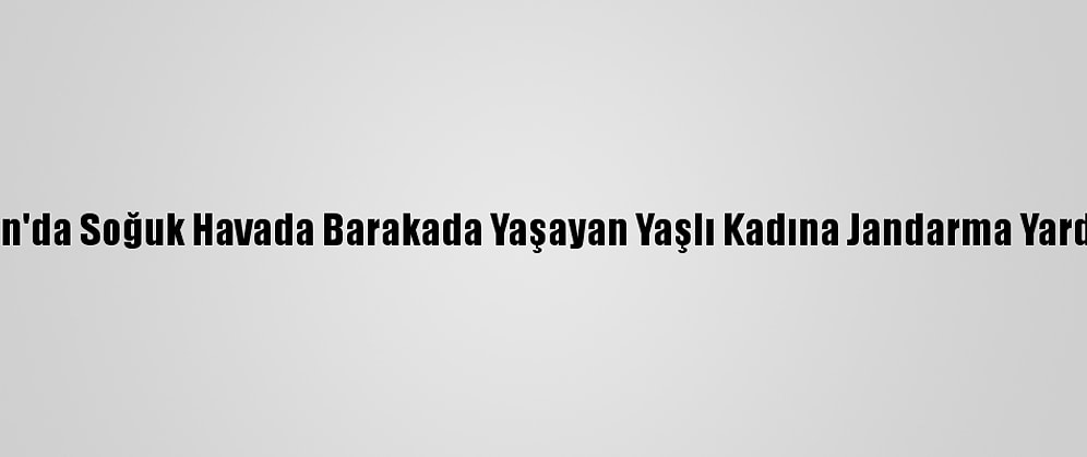Giresun'da Soğuk Havada Barakada Yaşayan Yaşlı Kadına Jandarma Yardım Etti