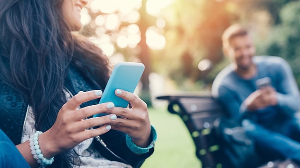 5. Лев: аккумуляторная батарея